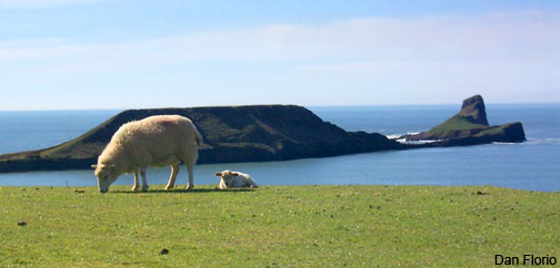 Wormshead on the Gower, Swansea, Wales by Dan Florio